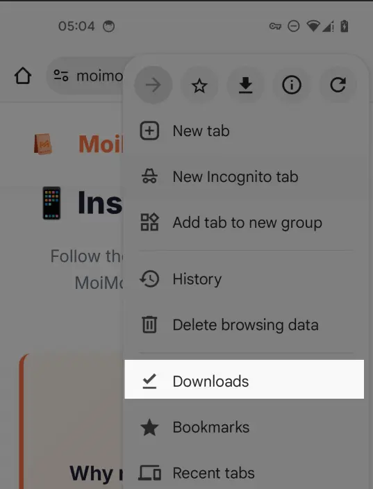 Step 3-3 - Download manager